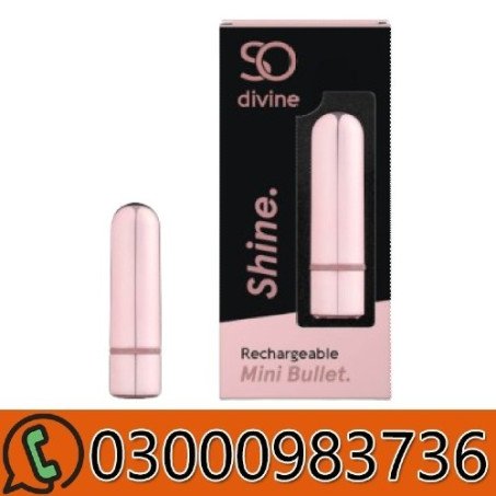 Shine Rechargeable Mini Bullet Vibrator In Pakistan